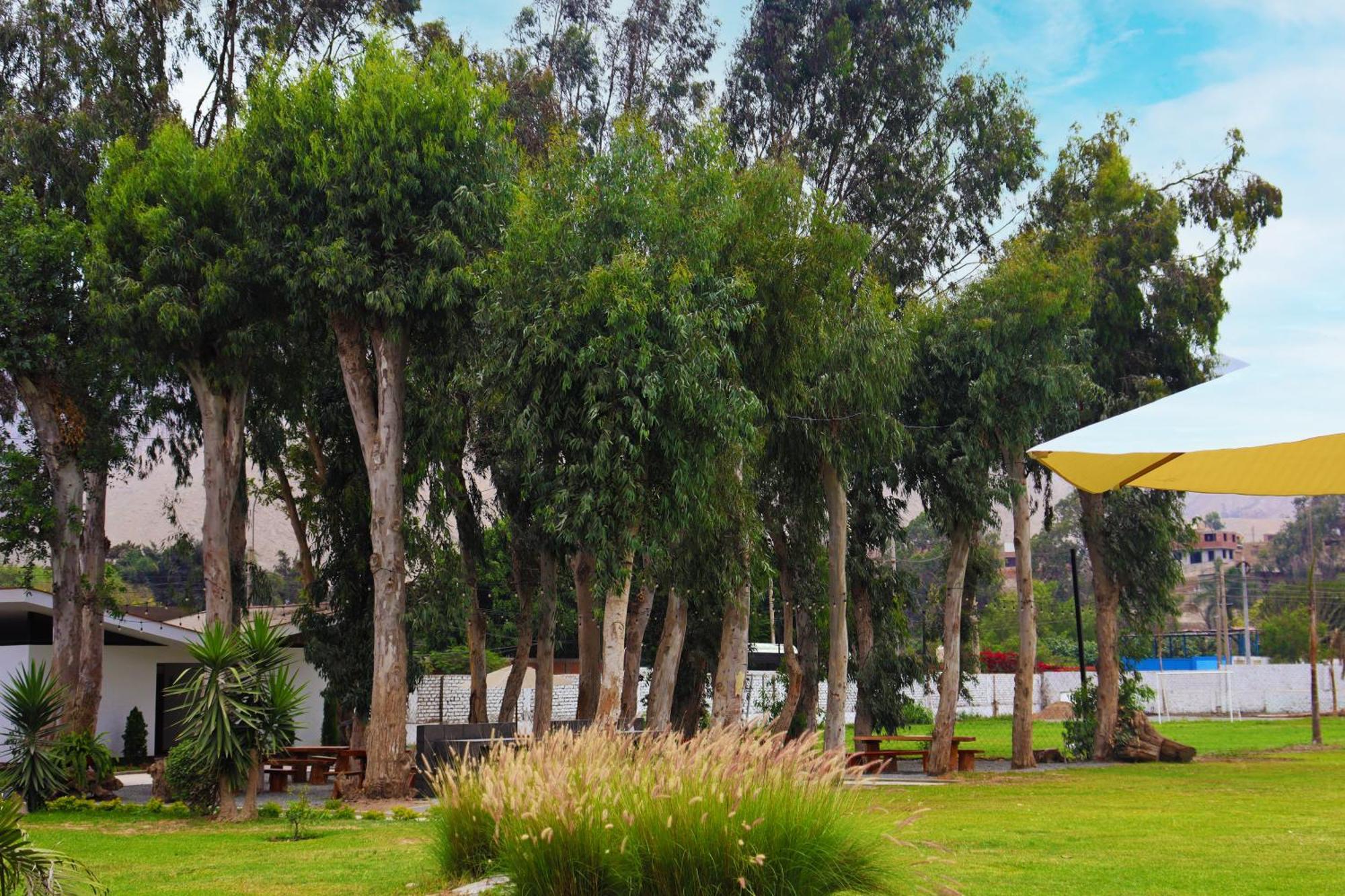 Los Andes - Restaurant & Bungalows Cieneguilla Exterior photo