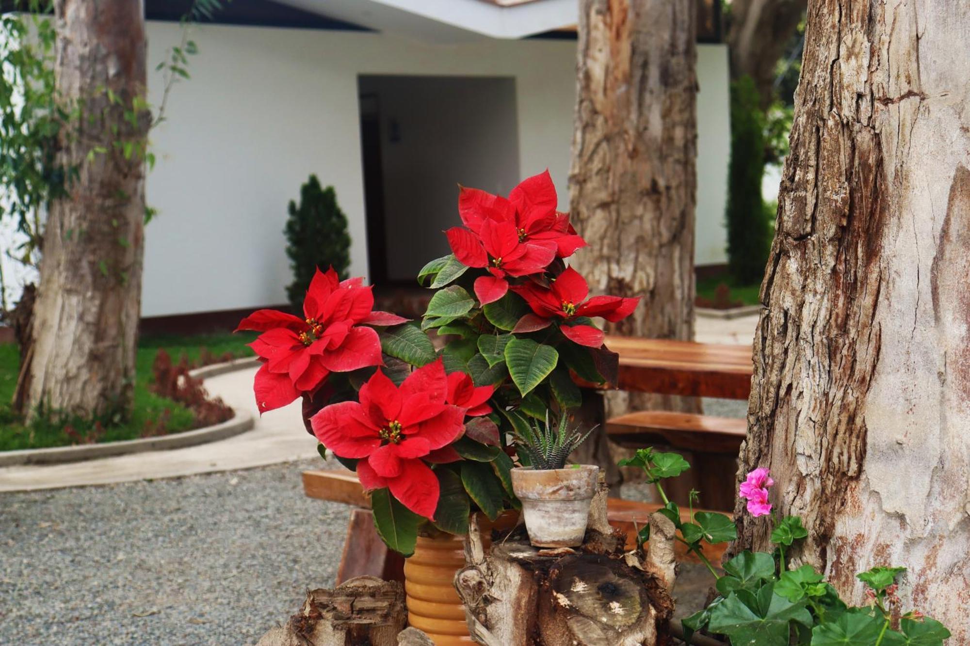 Los Andes - Restaurant & Bungalows Cieneguilla Exterior photo